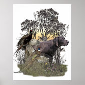 Duitse Shorthaired Pointer Poster (Voorkant)