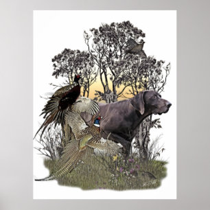 Duitse Shorthaired Pointer Poster