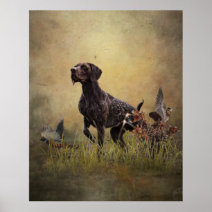 Duitse Shorthaired Pointer Poster