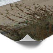 Duitse Shorthaired Pointer print (Hoek)