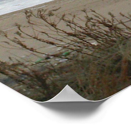 Duitse Shorthaired Pointer print (Hoek)