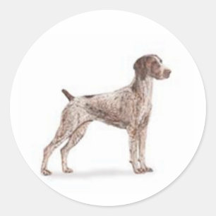 Duitse Shorthaired Pointer Ronde Sticker