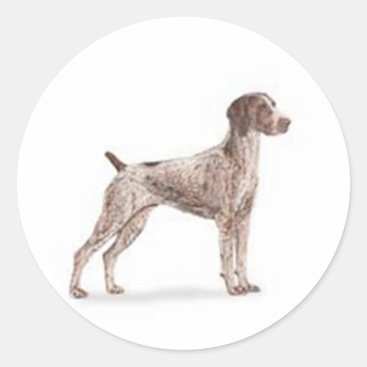 Duitse Shorthaired Pointer Ronde Sticker (Voorkant)