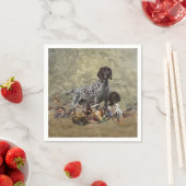 Duitse Shorthaired Pointer Servet (Insitu)