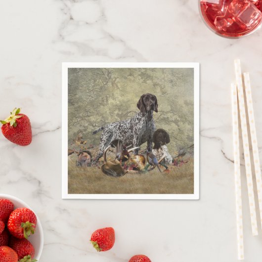 Duitse Shorthaired Pointer Servet (Insitu)