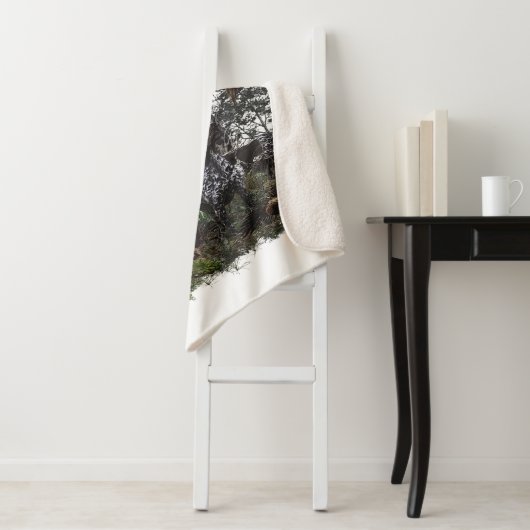 Duitse Shorthaired Pointer Sherpa Deken (In situ)