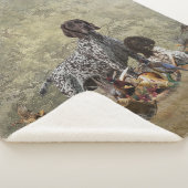 Duitse Shorthaired Pointer Sherpa Deken (3/4)