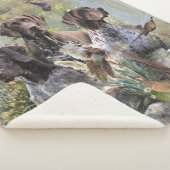 Duitse Shorthaired Pointer Sherpa Deken (3/4)