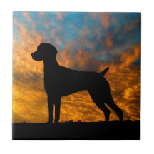 Duitse Shorthaired Pointer Silhouette Sunset Tile