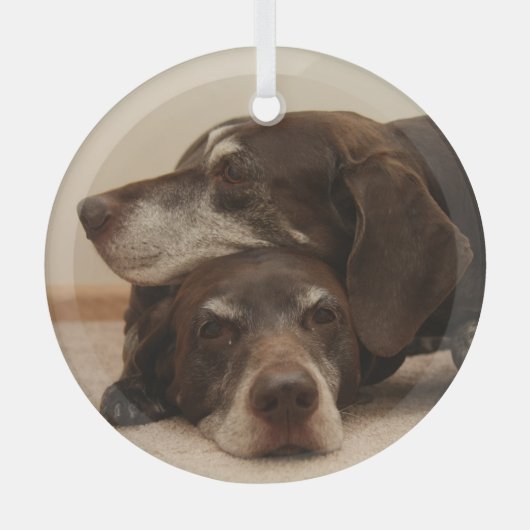 Duitse Shorthaired Pointer Sisters Glas Ornament (Voorkant)