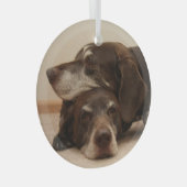 Duitse Shorthaired Pointer Sisters Glas Ornament (Voorkant Rechts)