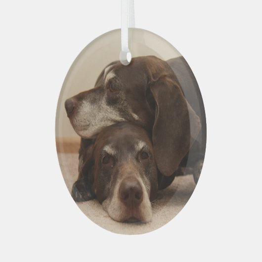 Duitse Shorthaired Pointer Sisters Glas Ornament (Voorkant links)