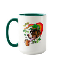 Duitse Shorthaired Pointer St Pattys