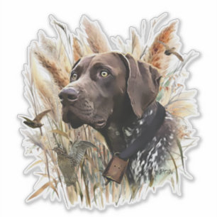 Duitse Shorthaired Pointer Sticker