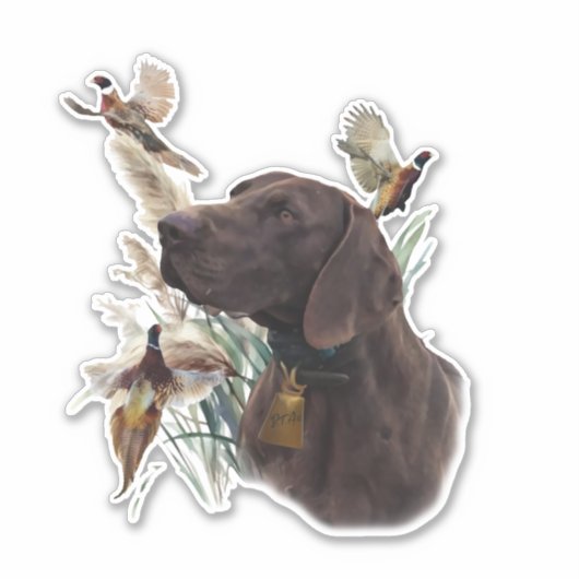 Duitse shorthaired pointer sticker (Voorkant)