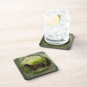 Duitse Shorthaired Pointer,SZANTA van Nemrod's Bier Onderzetter (Rechterzijde)