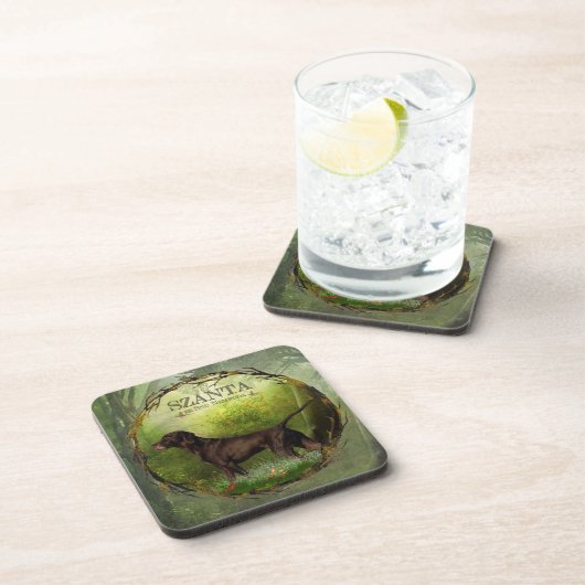 Duitse Shorthaired Pointer,SZANTA van Nemrod's Bier Onderzetter (Rechterzijde)