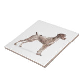 Duitse Shorthaired Pointer Tegeltje (Zijkant)