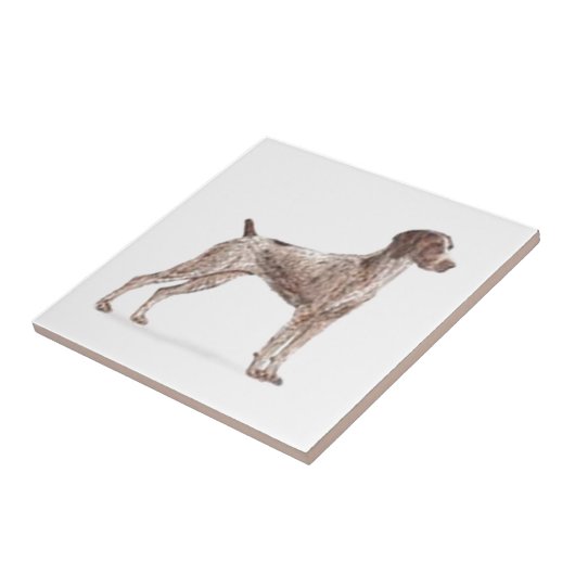 Duitse Shorthaired Pointer Tegeltje (Zijkant)