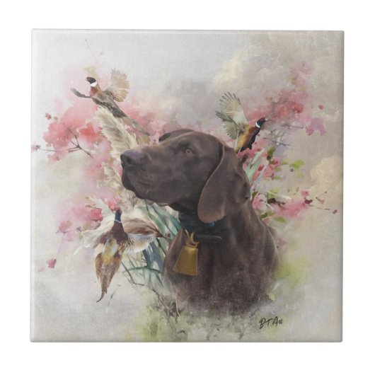 Duitse shorthaired pointer tegeltje (Voorkant)