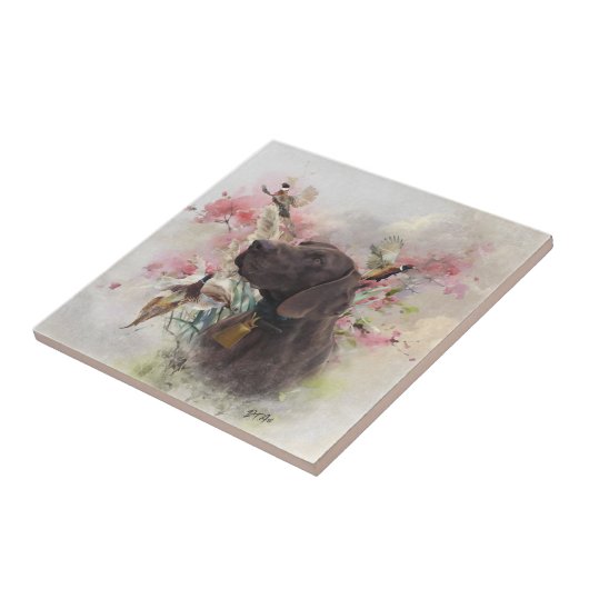 Duitse shorthaired pointer tegeltje (Zijkant)