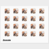 Duitse Shorthaired Pointer Turkije Ronde Sticker (Vel)