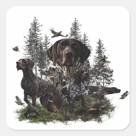 Duitse Shorthaired Pointer Vierkante Sticker (Voorkant)