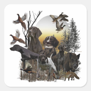 Duitse Shorthaired Pointer Vierkante Sticker