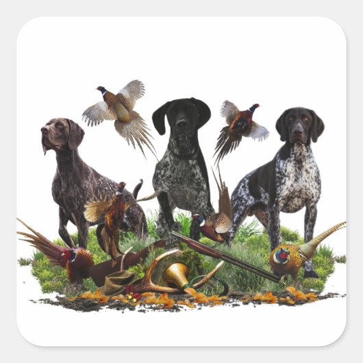 Duitse Shorthaired Pointer Vierkante Sticker (Voorkant)