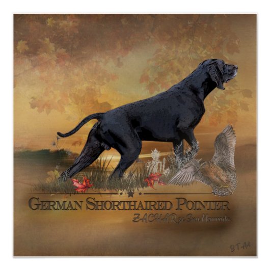 Duitse Shorthaired Pointer, ZACHAR Tapestry Perfect Poster (Voorkant)