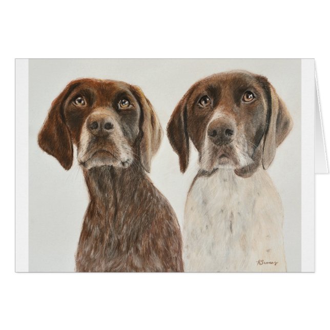 Duitse Shorthaired Pointers (Voorkant Horizontaal)