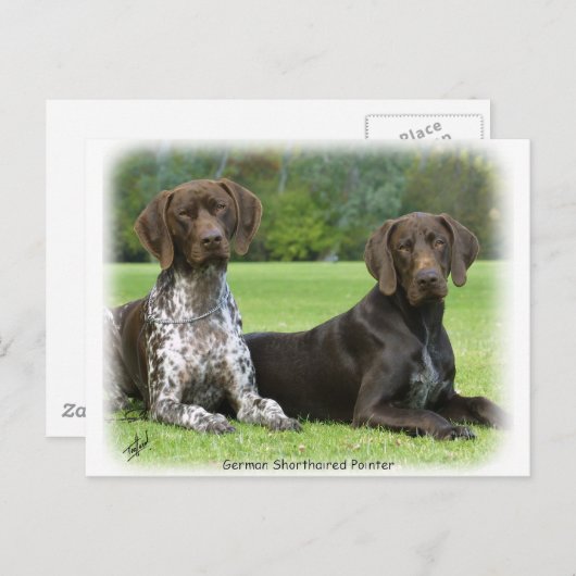 Duitse Shorthaired Pointers 9J37D-09 Briefkaart (Voorkant / Achterkant)