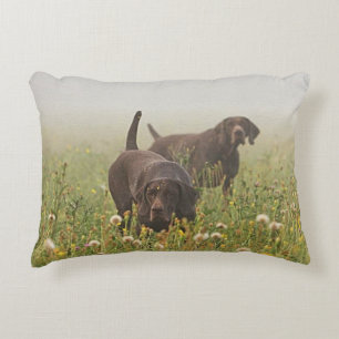 Duitse Shorthaired Pointers Accent Kussen