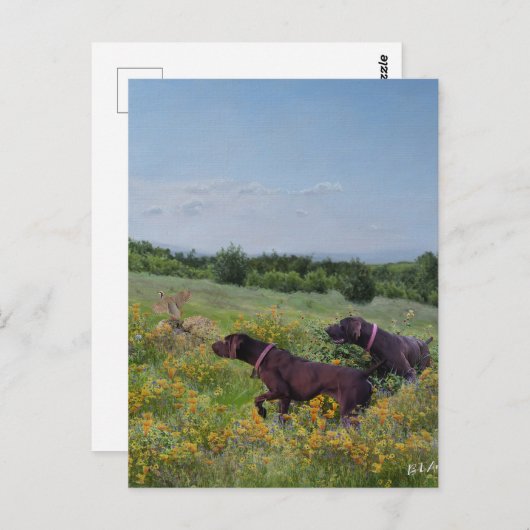 Duitse Shorthaired Pointers Briefkaart (Voorkant / Achterkant)