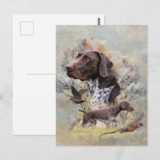 Duitse Shorthaired Pointers Briefkaart (Voorkant / Achterkant)