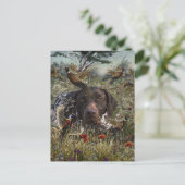 Duitse Shorthaired Pointers Briefkaart (Staand voorkant)