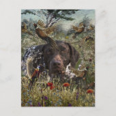 Duitse Shorthaired Pointers Briefkaart (Voorkant)