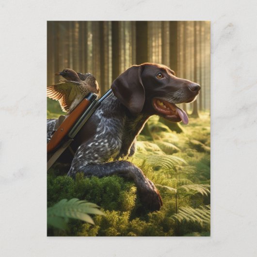 Duitse Shorthaired Pointers Briefkaart (Voorkant)