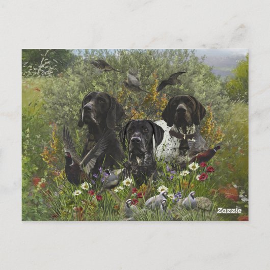 Duitse Shorthaired Pointers Briefkaart (Achterkant)