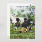 Duitse Shorthaired Pointers Briefkaart (Voorkant / Achterkant)