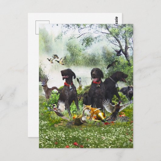 Duitse Shorthaired Pointers Briefkaart (Voorkant / Achterkant)