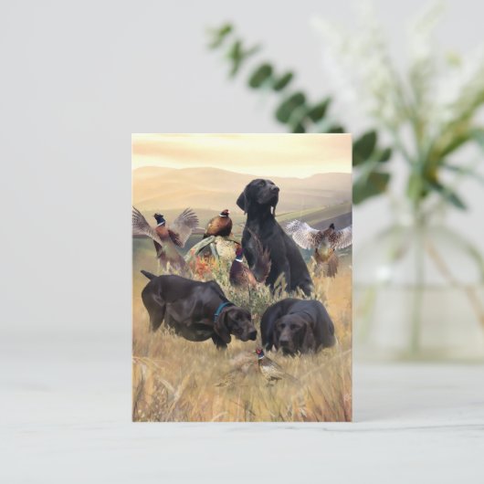 Duitse Shorthaired Pointers Briefkaart (Staand voorkant)