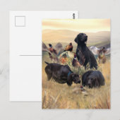 Duitse Shorthaired Pointers Briefkaart (Voorkant / Achterkant)
