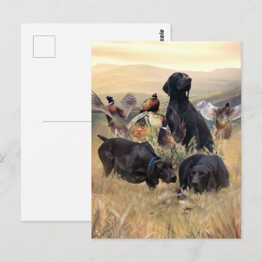 Duitse Shorthaired Pointers Briefkaart (Voorkant / Achterkant)