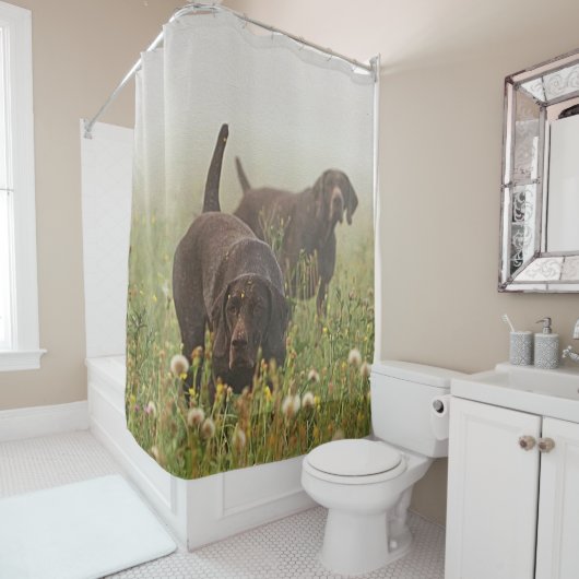 Duitse Shorthaired Pointers Douchegordijn (In situ)