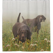 Duitse Shorthaired Pointers Douchegordijn (Voorkant)