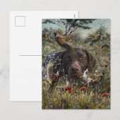 Duitse Shorthaired Pointers Feestdagenkaart (Voorkant / Achterkant)