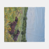 Duitse Shorthaired Pointers Fleece Deken (Voorkant (Horizontaal))