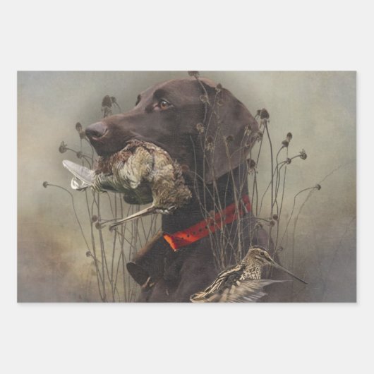 Duitse Shorthaired Pointers Inpakpapier Vel (Voorkant 2)