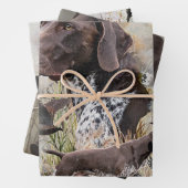 Duitse Shorthaired Pointers Inpakpapier Vel (In situ)